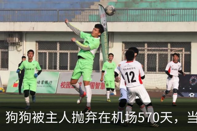 狗狗被主人抛弃在机场570天，当主人回来接它时，看哭了所有人